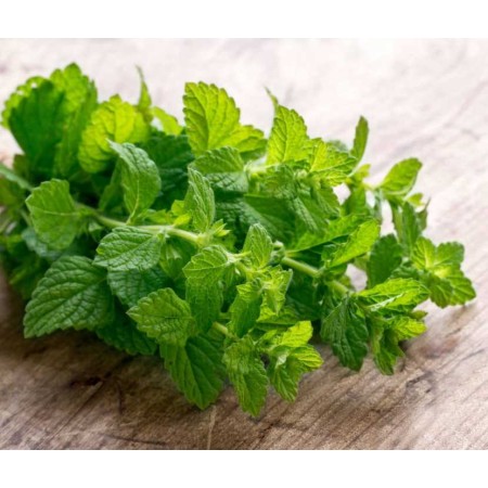 MENTA VASSOIO 150 GR FRESCA